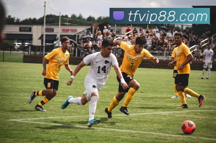 天富娱乐官网发展历程