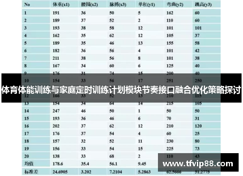 体育体能训练与家庭定时训练计划模块节奏接口融合优化策略探讨